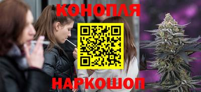 сатива Усть-Джегута