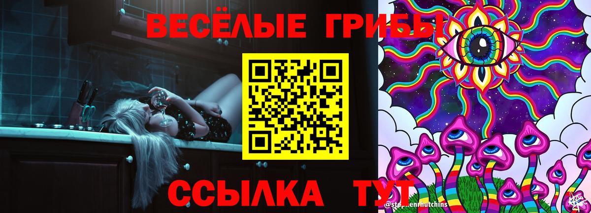 Галлюциногенные грибы Cubensis  Галлюциногенные грибы прущие грибы  Нижнеудинск  Вход с VPN 
