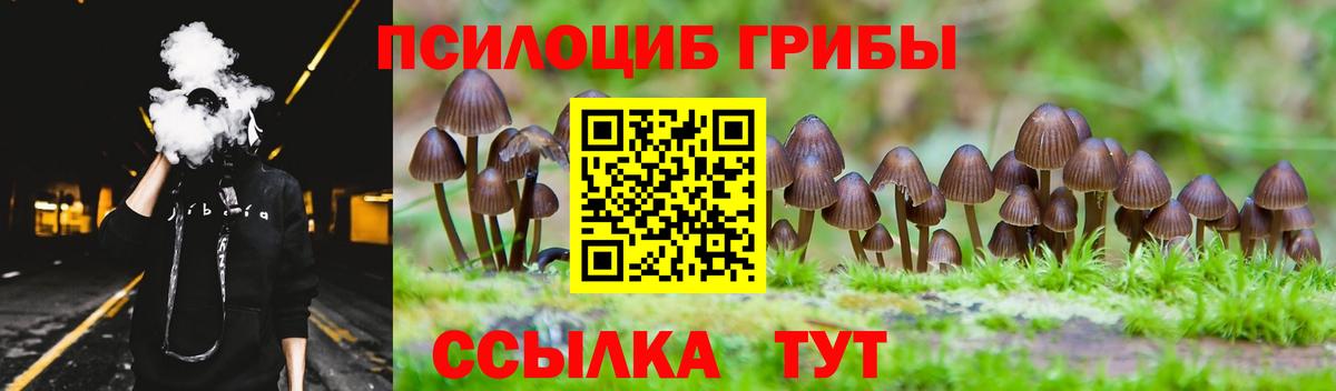 Галлюциногенные грибы Psilocybine cubensis Нижнеудинск